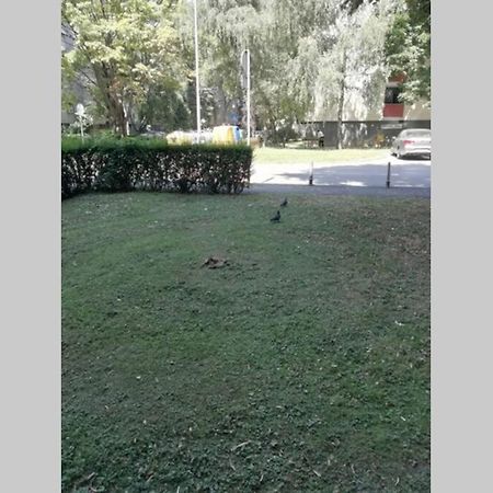 Sarmantni Apartman Malecka Zagreb Exterior foto